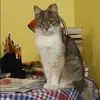 Отзыв от Пелагея Седова